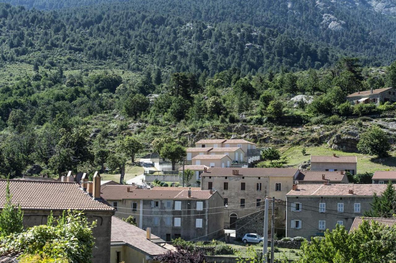 Terrasse De Malbeccu Villa Casamaccioli Kültér fotó